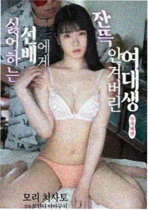长夜列车 封面